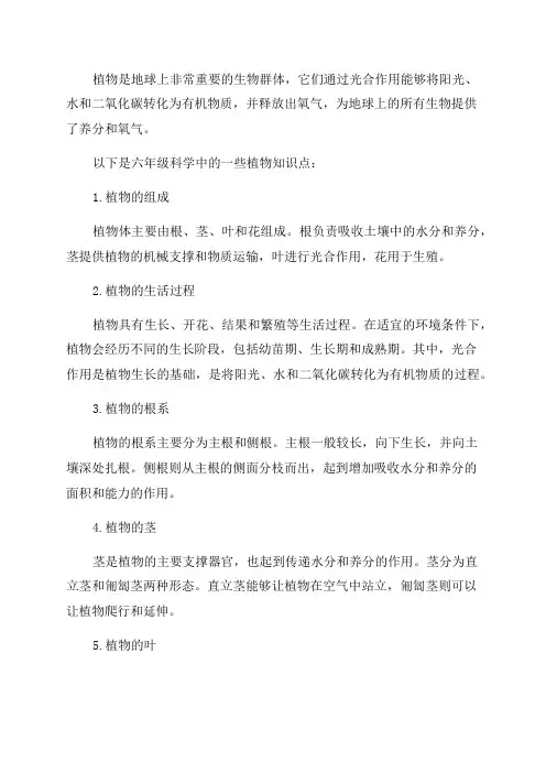 六年级科学植物知识点