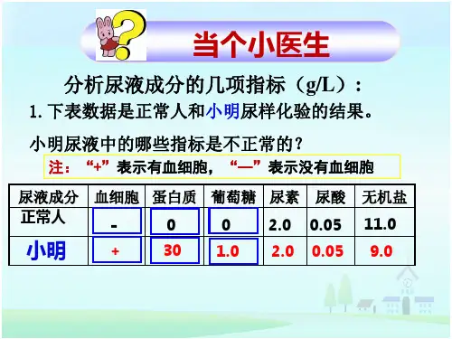 北师大版七年级生物下册4.11.2尿的形成与排出(第2课时)课件