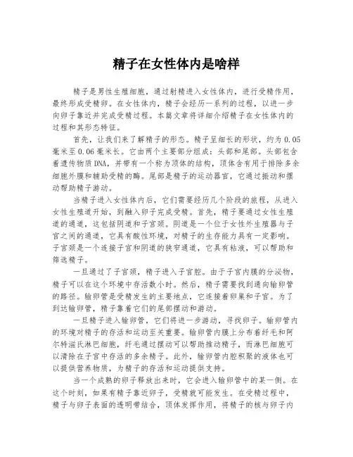 精子在女性体内是啥样