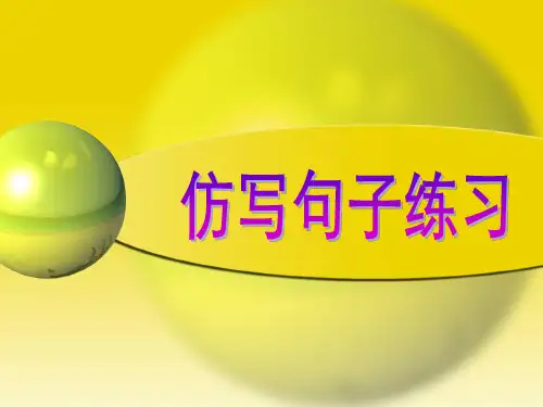 仿写句子练习 短文阅读精讲课件 PPT