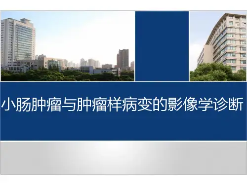 小肠肿瘤与肿瘤样病变的影像学诊断