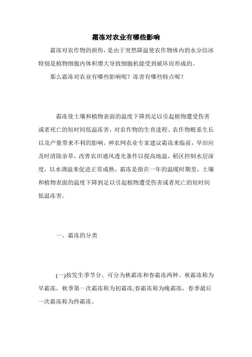 霜冻对农业有哪些影响
