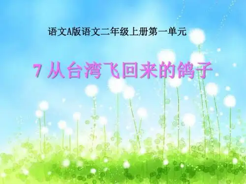 《从台湾飞回来的鸽子》PPT优秀课件3