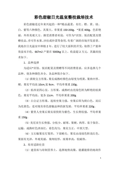 彩色甜椒日光温室整枝栽培技术