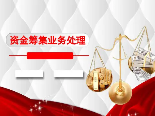 9：资金筹集业务处理