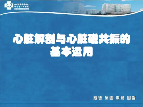 心脏磁共振讲课1