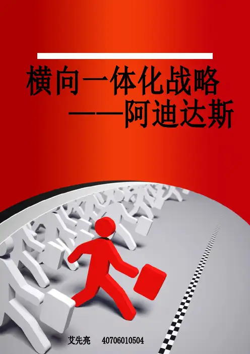 横向一体化战略