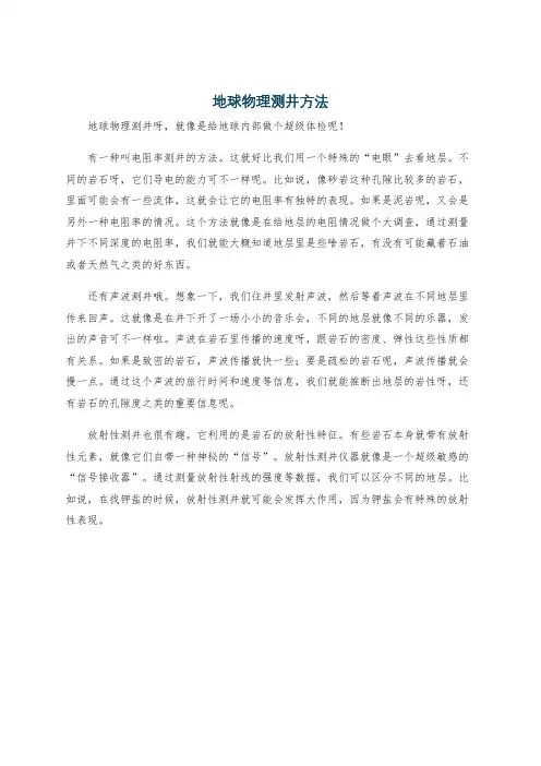 地球物理测井方法