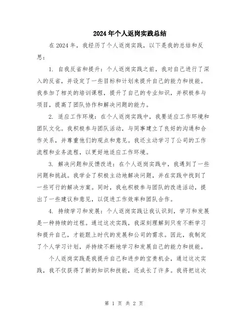 2024年个人返岗实践总结