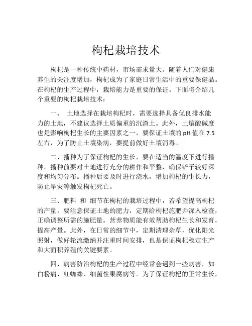 枸杞栽培技术
