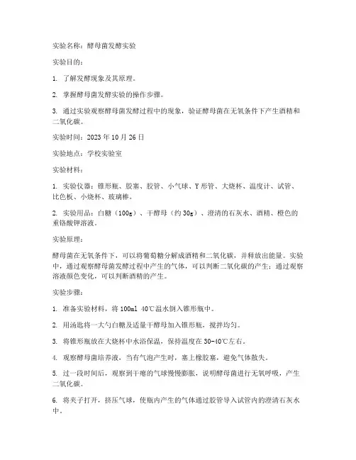 中学发酵实验报告