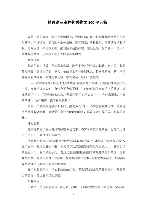 高三牵挂优秀作文800字范文精选