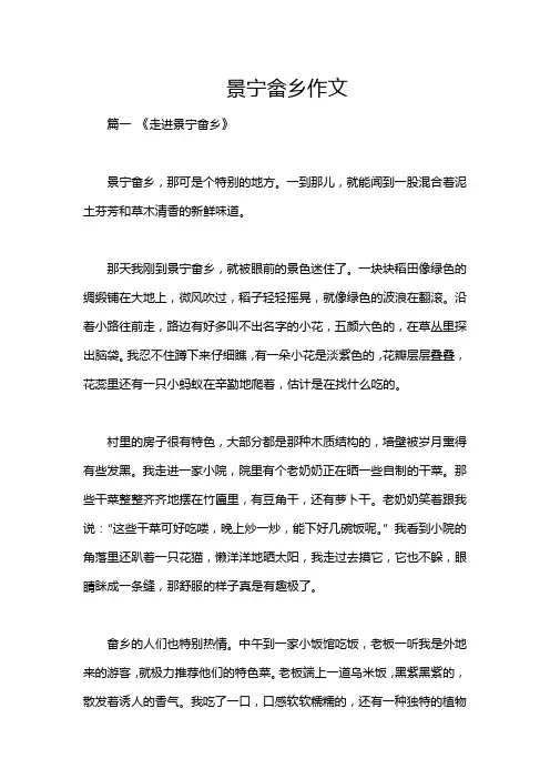 景宁畲乡作文