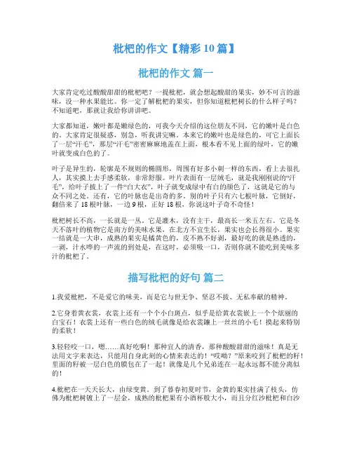 枇杷的作文【精彩10篇】