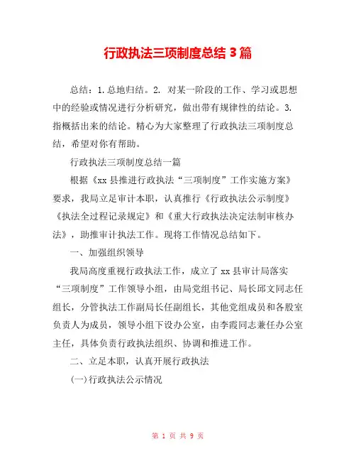 行政执法三项制度总结3篇