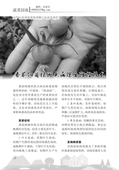 番茄细菌性斑点病综合防控技术