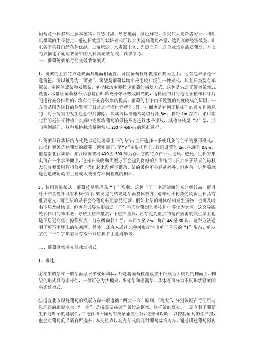 几种适宜北方设施葡萄栽培的高光效架式分析