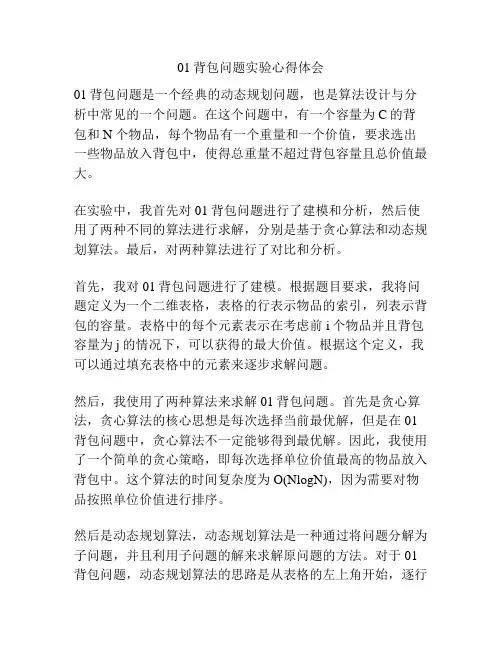 01背包问题实验心得体会