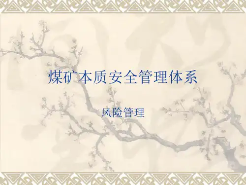 煤矿本质安全管理体系风险管理