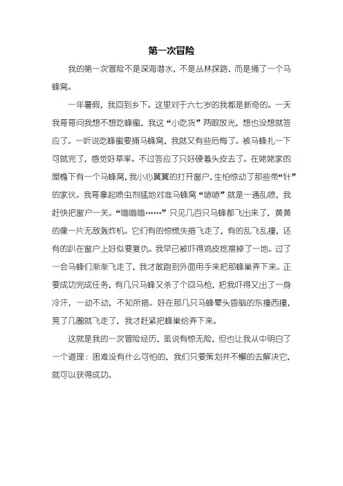 初一作文：第一次冒险作文450字