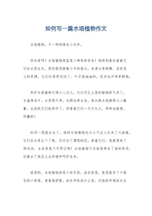 如何写一篇水培植物作文