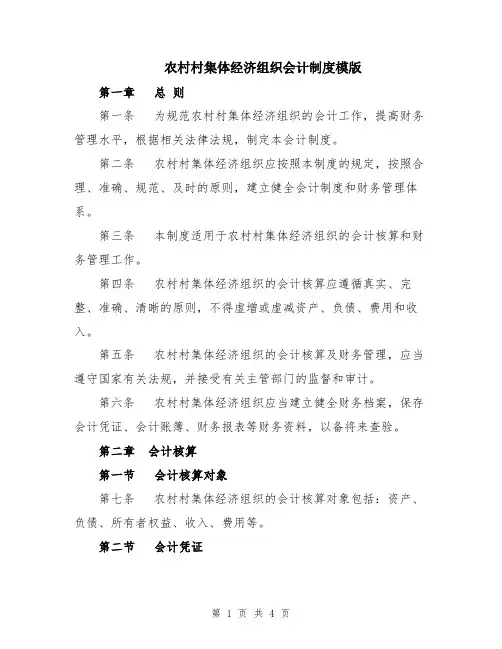 农村村集体经济组织会计制度模版
