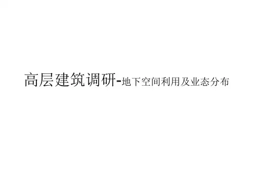 高层建筑调研-地下空间利用及业态分布