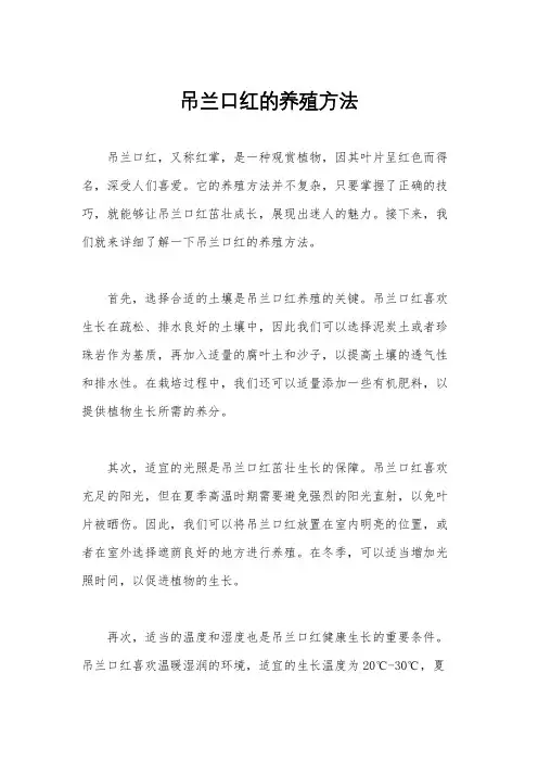 吊兰口红的养殖方法