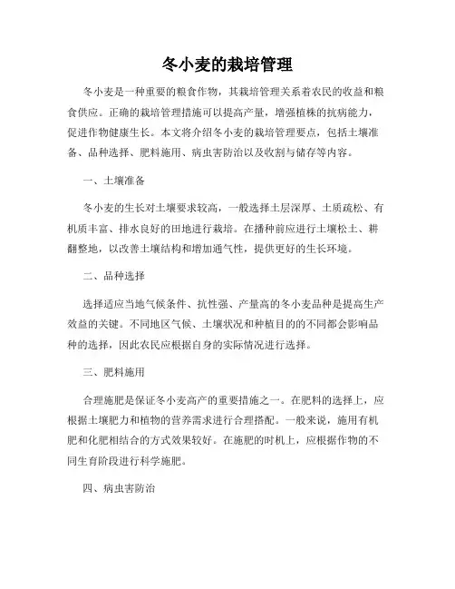 冬小麦的栽培管理