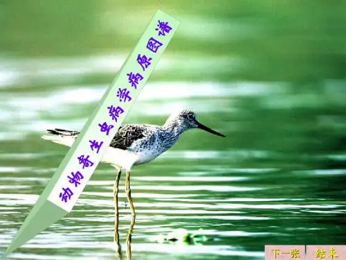 家畜寄生虫图谱