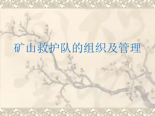 矿山救护队的组织