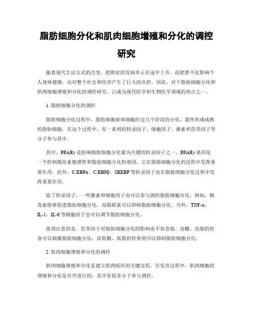 脂肪细胞分化和肌肉细胞增殖和分化的调控研究