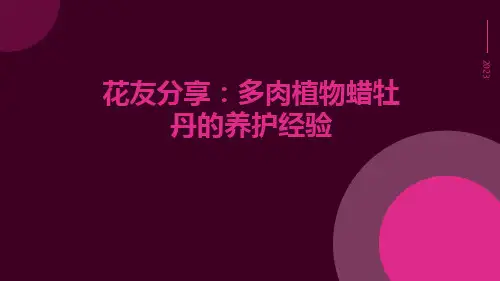 花友分享：多肉植物蜡牡丹的养护经验