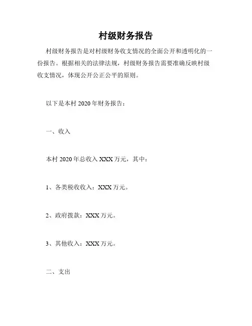 村级财务报告