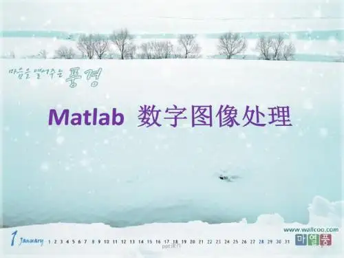 Matlab图像处理教程及方法  ppt课件