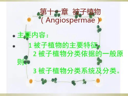 药用植物学被子植物PPT课件