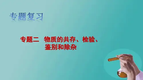 2025年中考化学复习专题二：物质的共存、检验、鉴别和除杂课件
