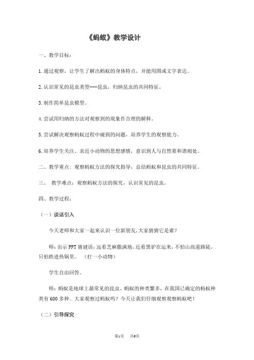大象版小学一年级上册科学 第二单元 认识小动物 第3课《蚂蚁》教案