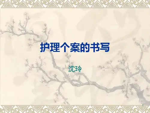 护理个案的书写PPT课件