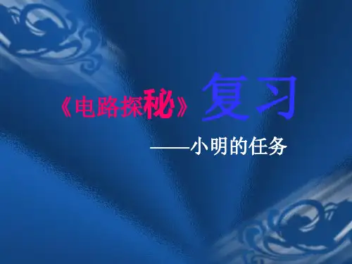电路探秘复习PPT课件(初中科学)