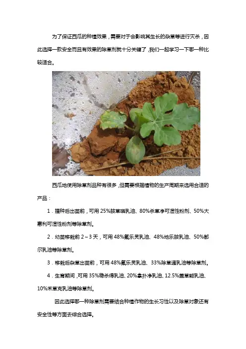 西瓜地用什么除草剂好