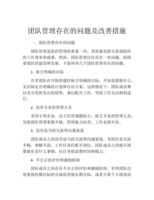 团队管理存在的问题及改善措施