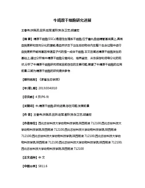 牛精原干细胞研究进展