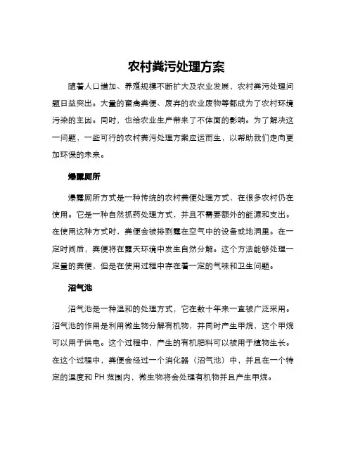 农村粪污处理方案