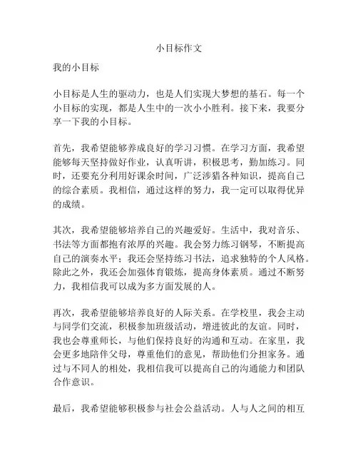 小目标作文