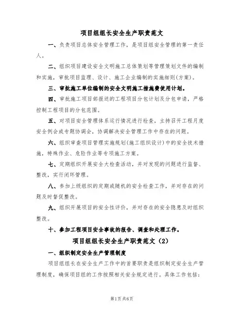 项目组组长安全生产职责范文（3篇）
