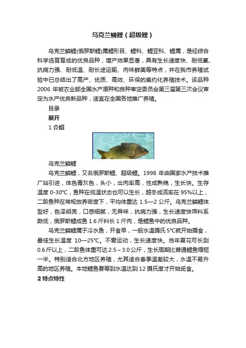 乌克兰鳞鲤（超级鲤）