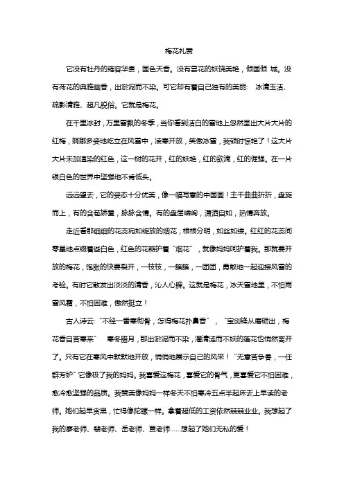 梅花礼赞 