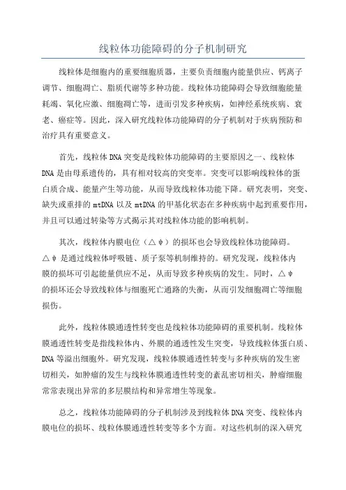 线粒体功能障碍的分子机制研究