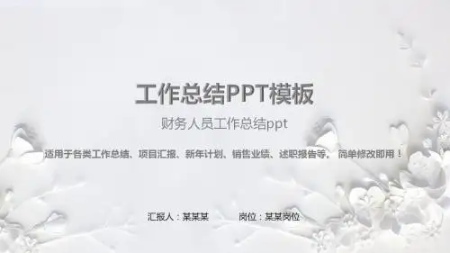 漂亮-财务人员工作总结ppt